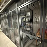 Vlcice 107, *