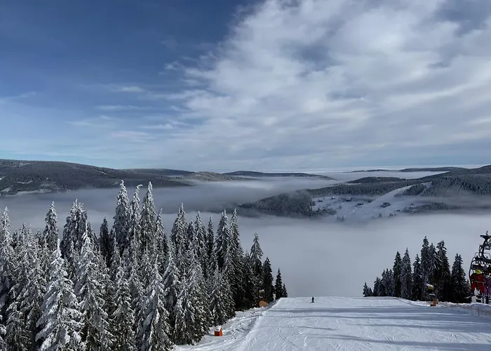 Vlcice 107, Lejlighed Pec pod Sněžkou